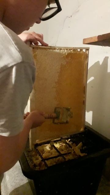 Качаем мёд. Медогонка с приводом на 220 вольт. Двигатель от стиральной машинки.