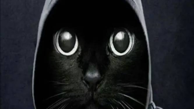 753a5f392296dd02d640f54e900f065f