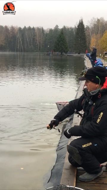 Спиннинг для ловли форели