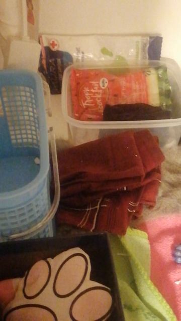 VID_20250809_224937.mp4