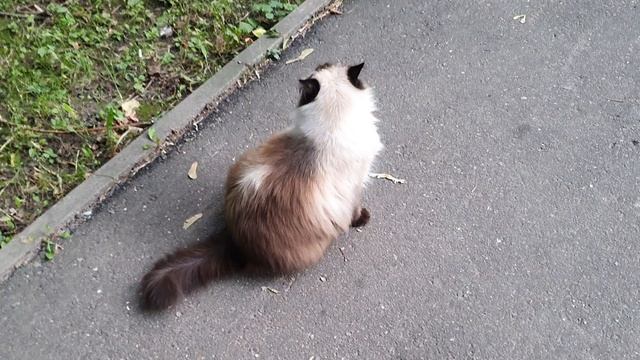 7ba9476700f63afbd4bf230acf890c4f