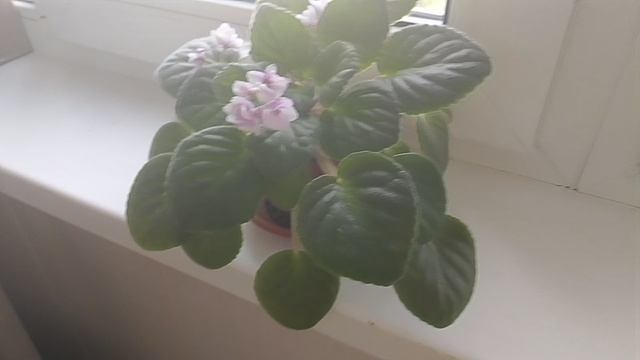 Ff219b42db8fa8762d29d8c59ce7e42a