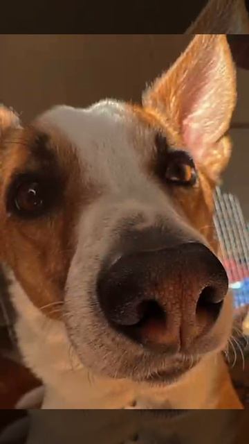 7678b621f879711975e61874ce46bdb7