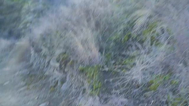 Видео зарисовки из Грузии