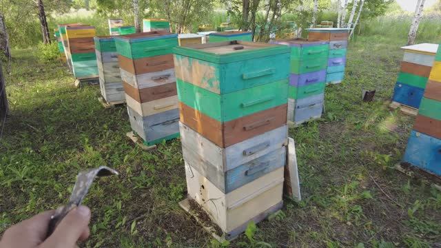 Последние дни медосбора в этом сезоне