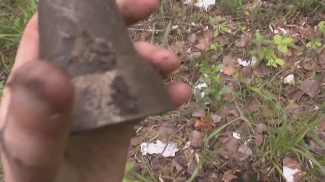- Рядовой выезд Фортануло дак фортануло