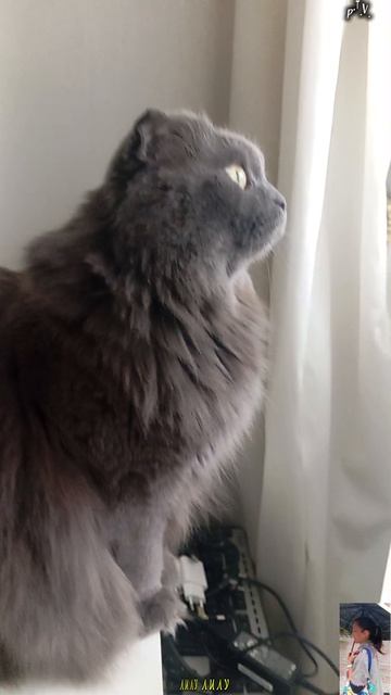 Новости есть?