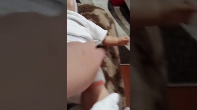 реборн Аделина