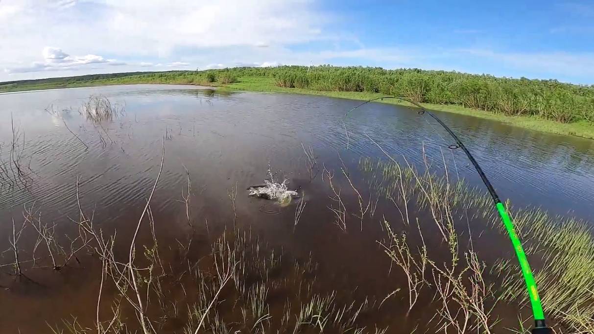 Это не Диалоги О Рыбалке