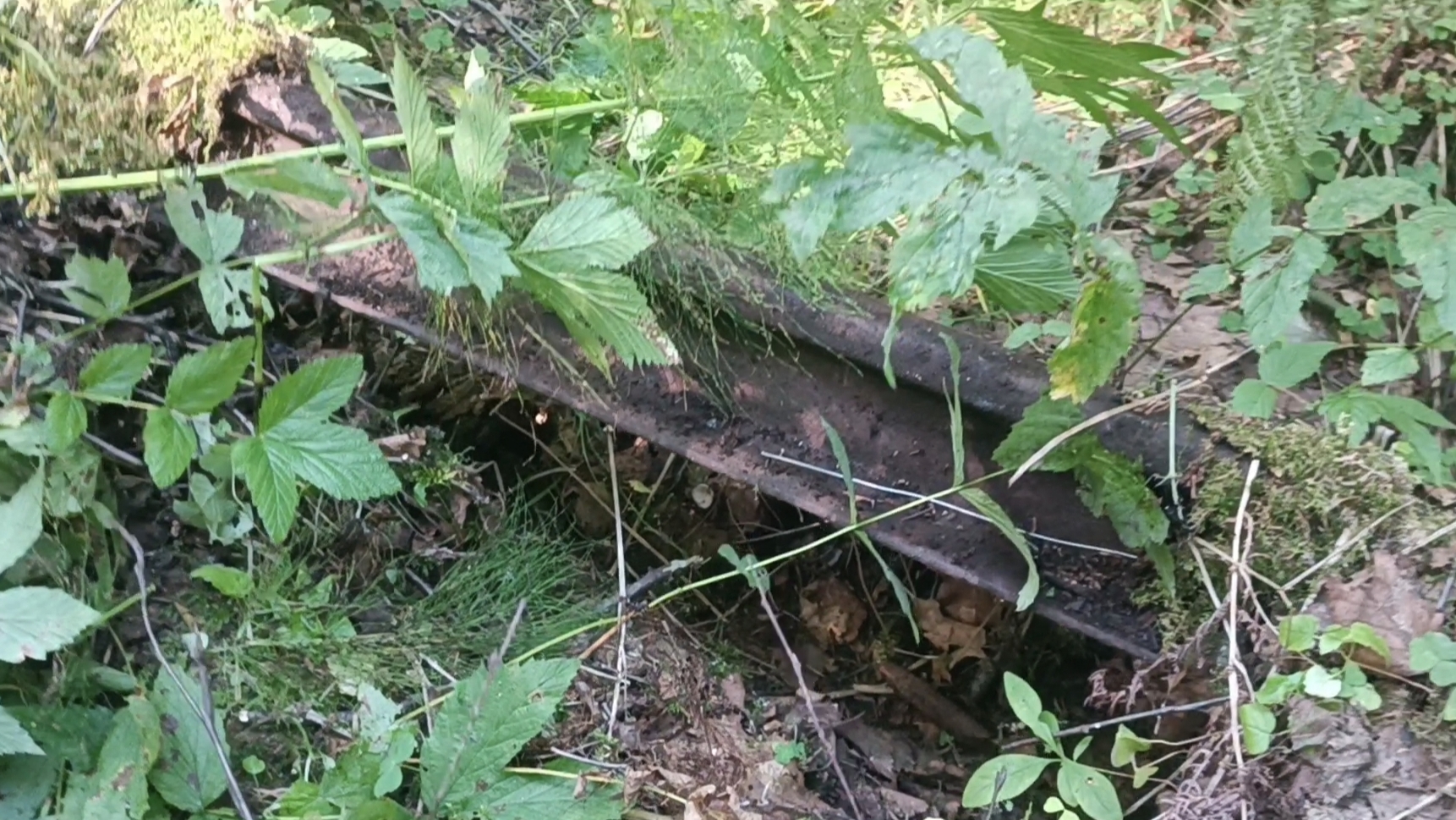 C88ff21618bccc9efae4c1eacf386463