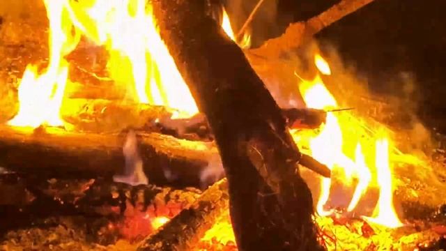 6  - ти летний рыбак обловил 4 мужиков, рыбалка на