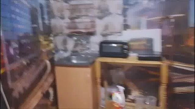 Россия Санкт-Петербург Бобочино моя квартира Выборгское шоссе дом 36 кв.13 27 января лета 2025/7534