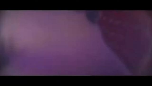 Standoff 2   Winter Fun