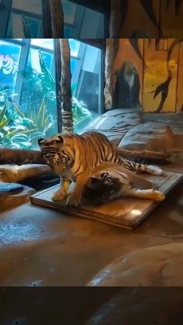 679b6078b9ae8116a8d898b0d172f4f5