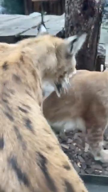 3e8c2bfe0bf1f7e9b6982edbe33b9690