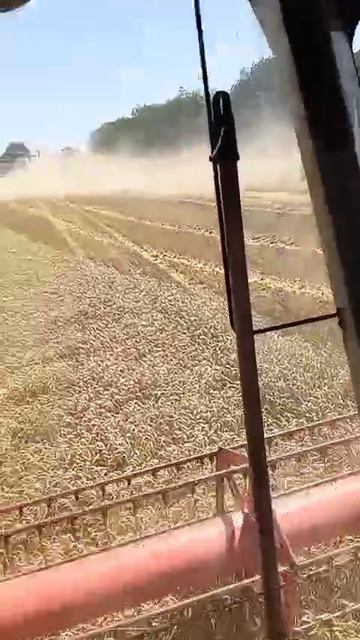 VID-20250708-WA0000.mp4