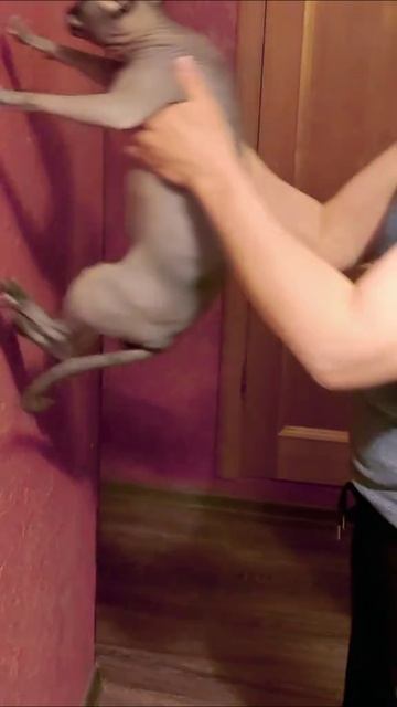 мой умный Маркус ❤️