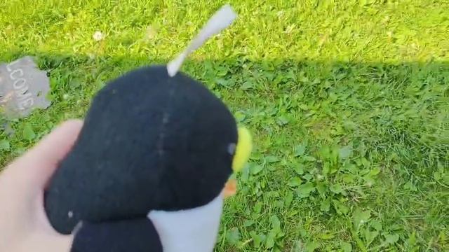 Penguin №21  Dofen Limited