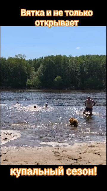 Ca2f857d9fef32fc081dde70c830bbc8