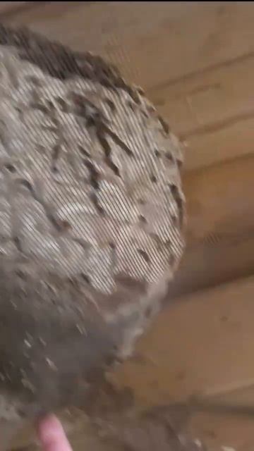 D145876d2e9e14ff12ba7a08e3d3dfd5