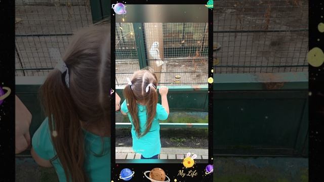 зоопарк 08.25