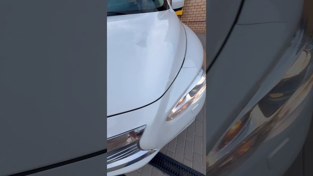 Rutube_account_17736655