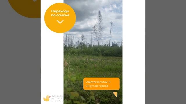 В продаже участок            8 соток, до
