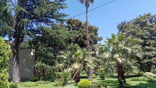 99637163f59a5e66804043ca473138d7