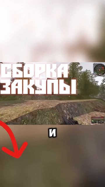 Фармил кабанов 24 часа Stalcraft X #shorts #stalcraft #сталкрафт