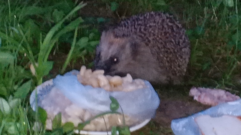 НАША МАША 😂 ч.1 Мукбанг Ежихи )