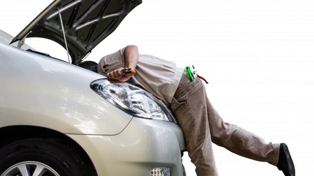 Госзакупки, ошибки с юмором