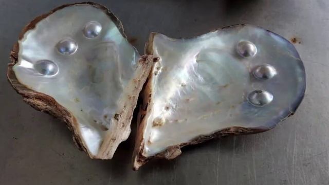 Энциклопедия драгоценных камней. Жемчуг. Часть 10.