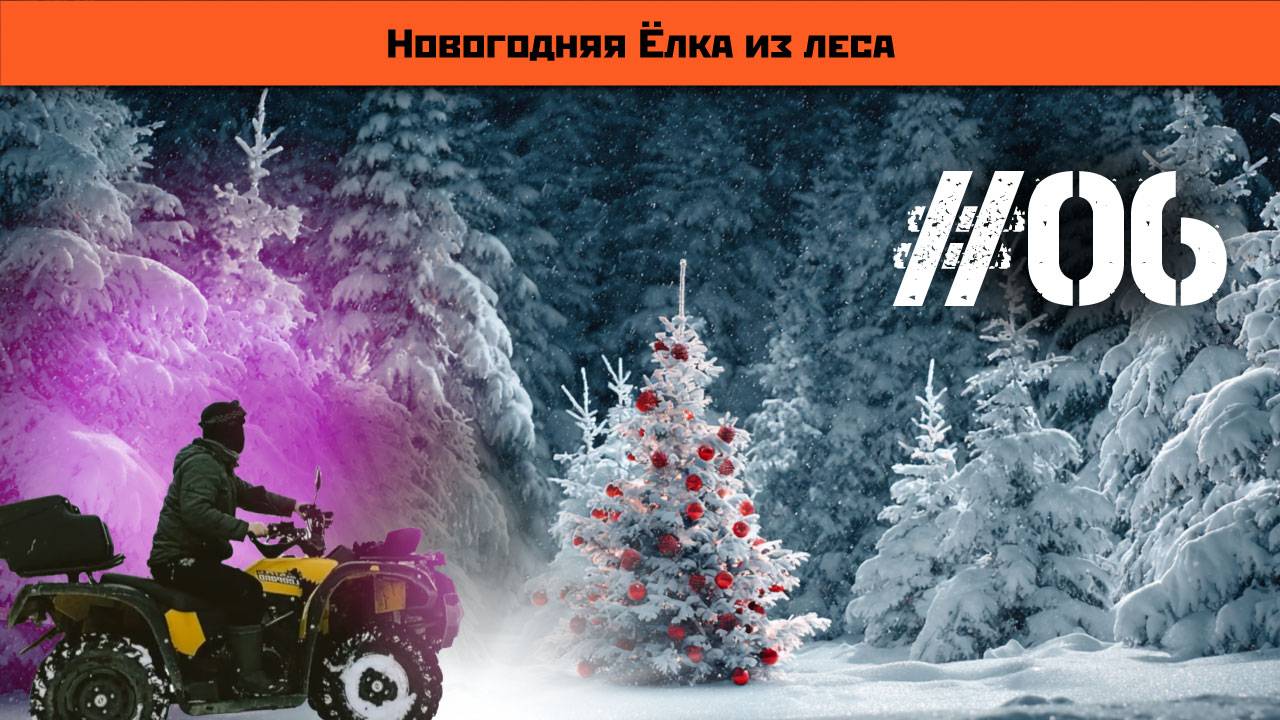 ищу ёлку