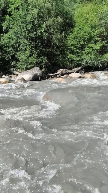 C7ffcbadc22845f0128105eac9ab76b9