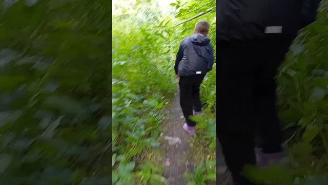 лезаем по деревьям