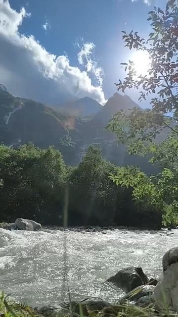 C9baf4a9d3466a23c75053dd3fba01b2