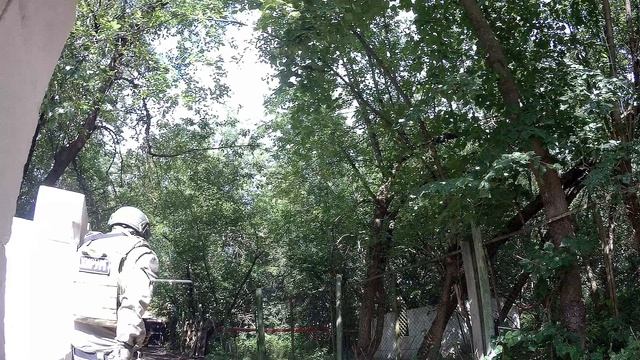 домодедово 10.08.25