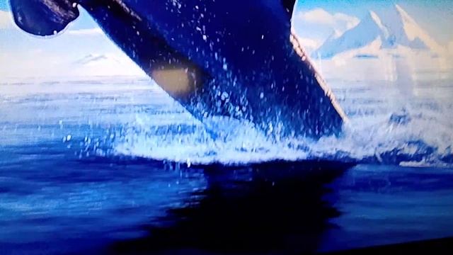 VID_20250814_200448