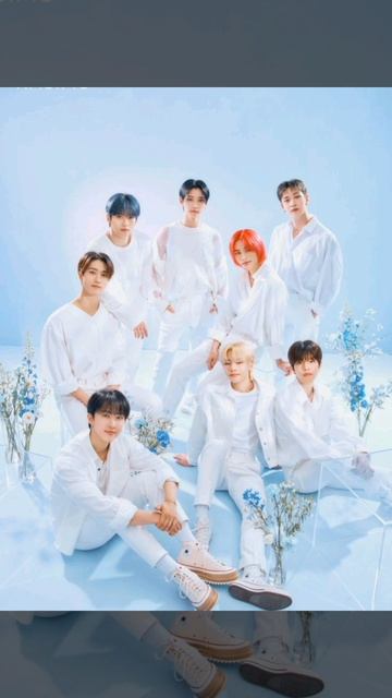 Stray Kids навсегда ❤️✨💫🌸