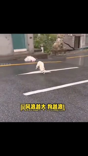 ✅https://sarafanpro.ru #юмор #шортсы #reels  #топ #shorts #приколы