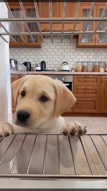 Всё обо всём