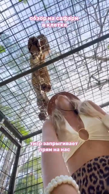 Bali Safari Рекомендую! Заходи в мой блог в инст