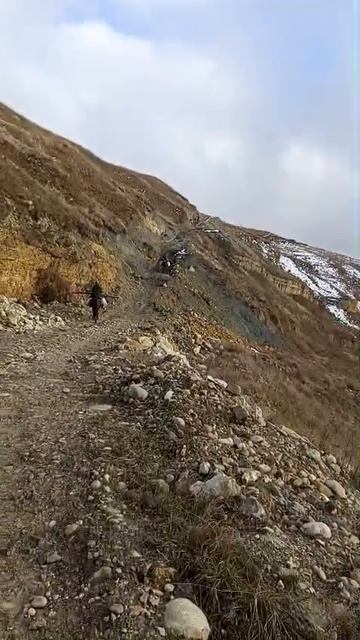 WhatsApp Video 2025-08-10 At 16.47.33