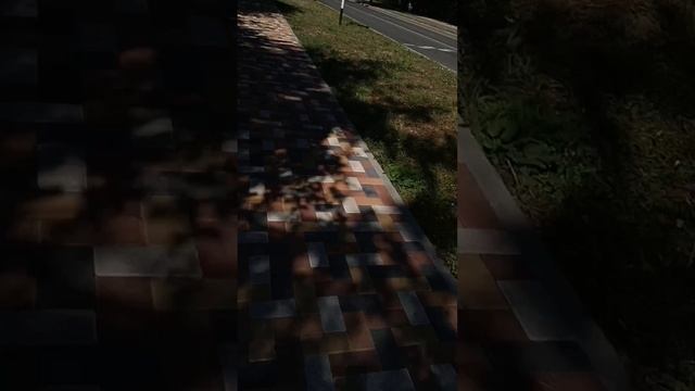 влог на прогулке