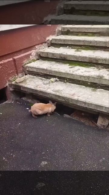 Новости Москвы | Москва Life 24