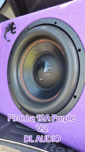 Piranha 12A Purple V.2 DL AUDIO