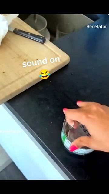Funny Animals3
