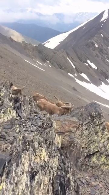 WhatsApp Video 2025-08-14 At 12.08.10 (2)