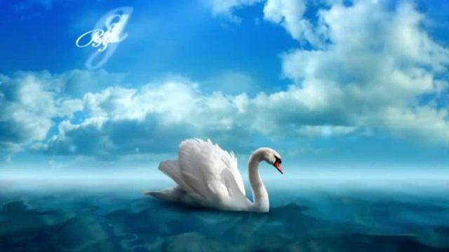 ИСТОРИЯ ЛЮБВИ