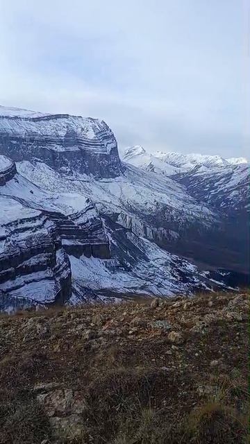 WhatsApp Video 2025-08-14 At 19.49.10